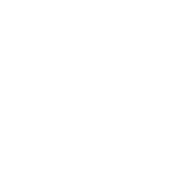 Best Bay Services Logo